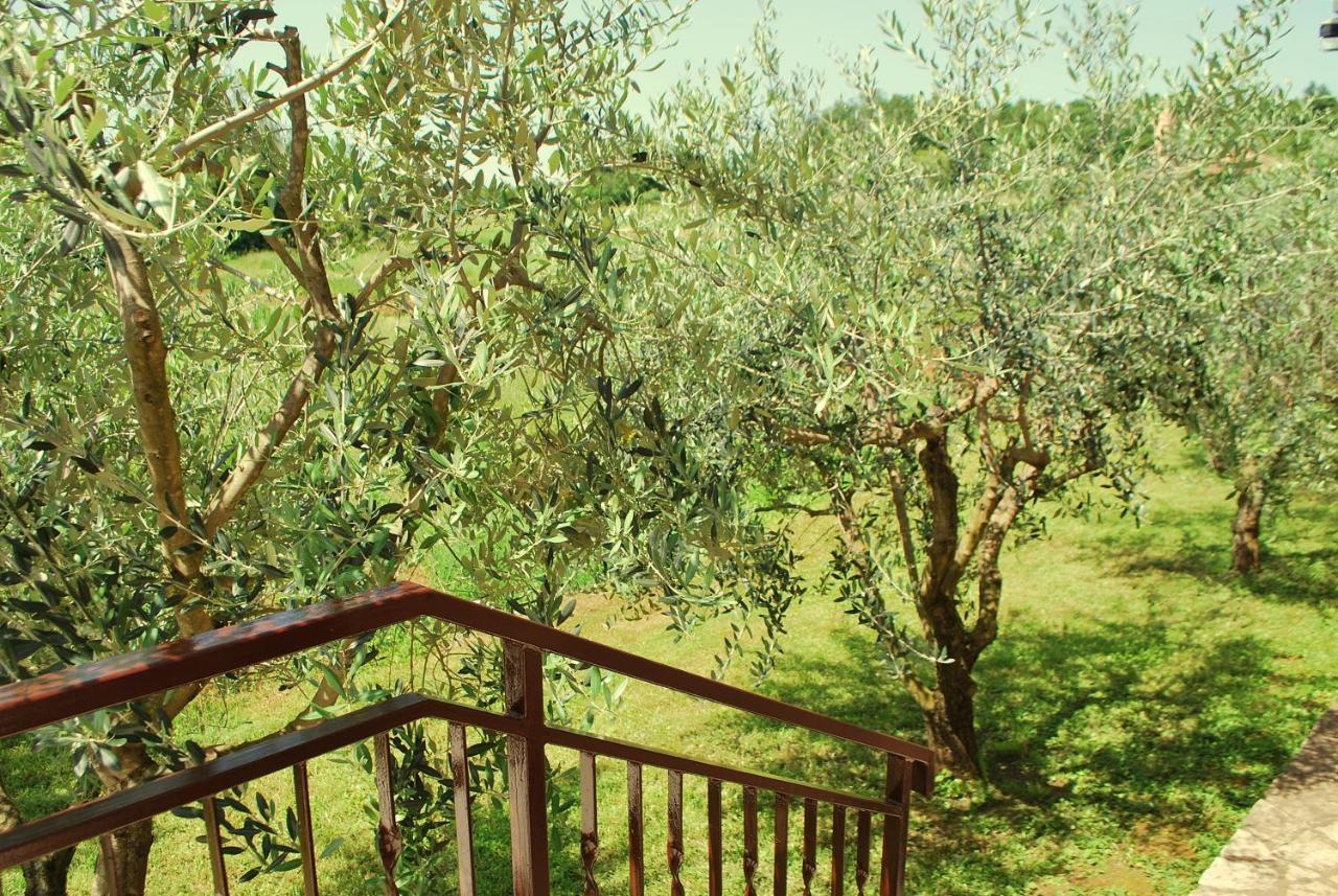 Villa Dorina Barban Екстер'єр фото